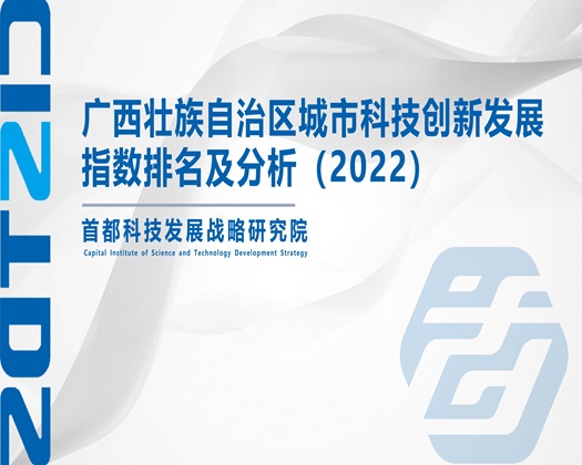 嗯嗯…啊啊…想要…操我视频【成果发布】广西壮族自治区城市科技创新发展指数排名及分析（2022）